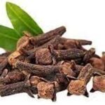 CLOVE SEED